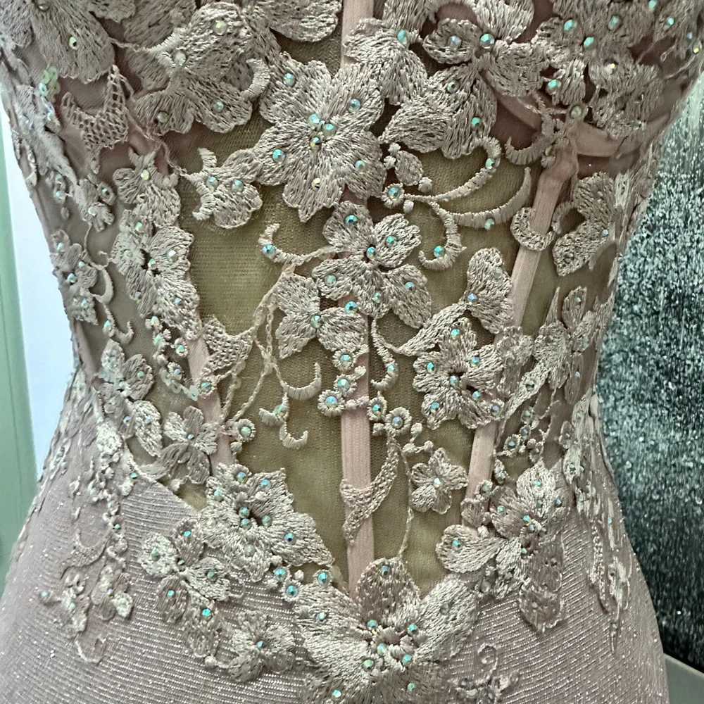 2x$70- Elegant Blush Lace Appliqué Evening Gown - Picture 5 of 6